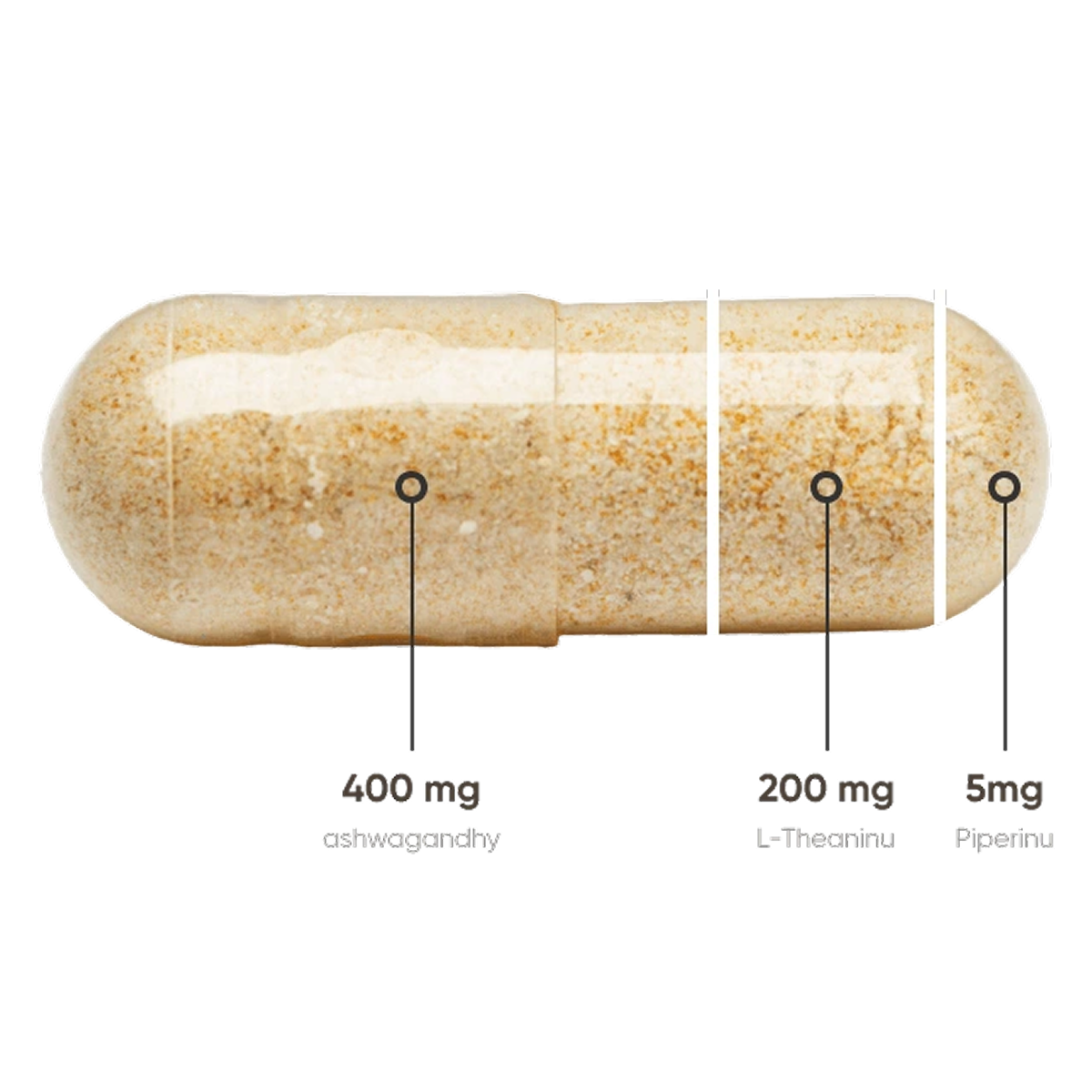 Ašvaganda v kapslých